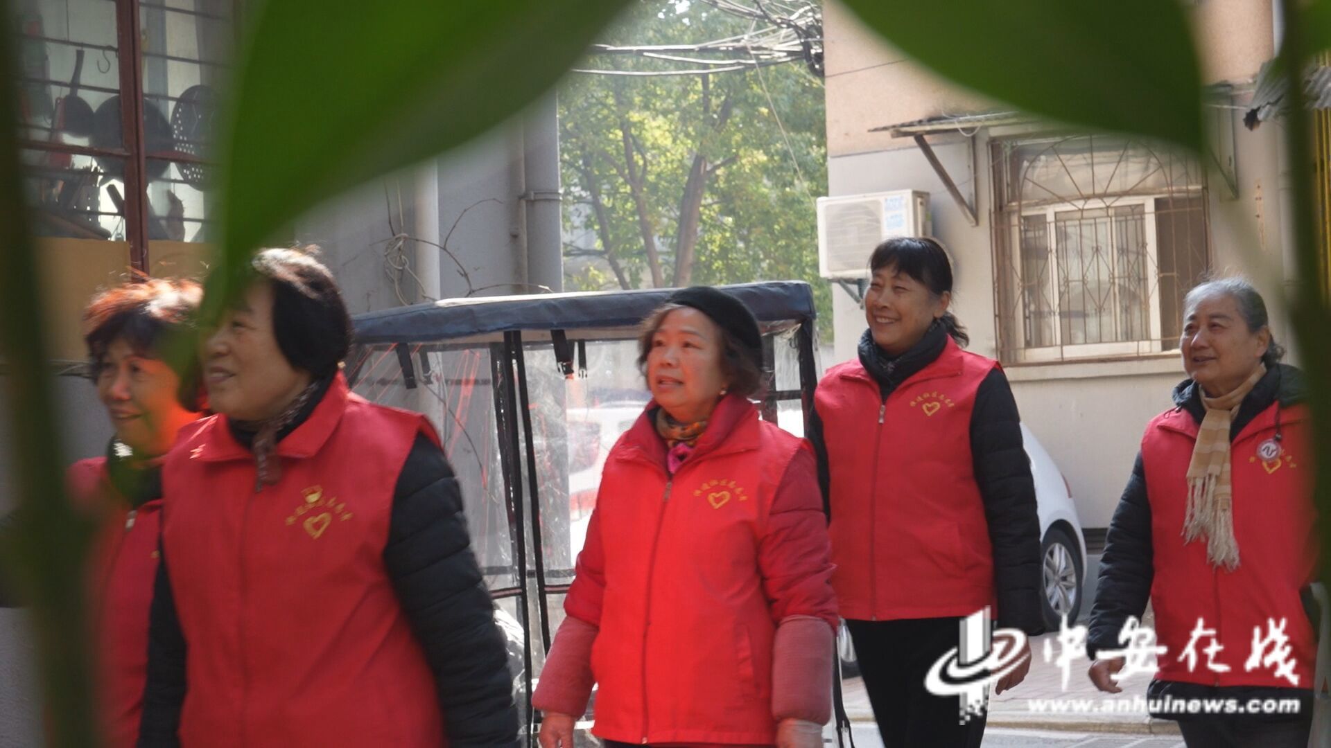 窗帘之约”的无声守护m6米乐中安观察｜“